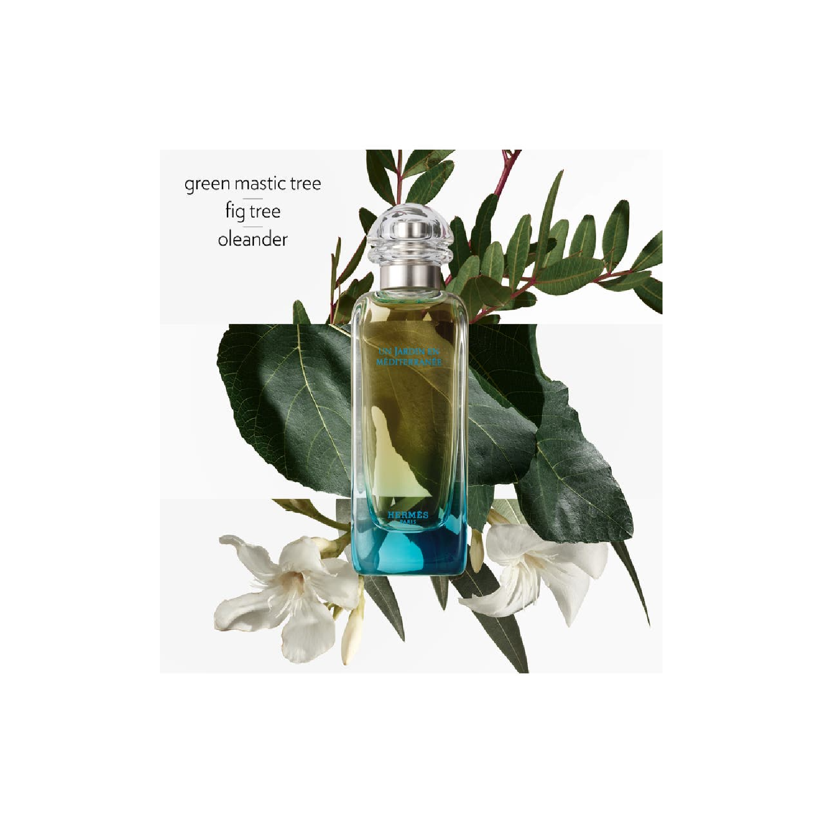 Hermes Un Jardin Mediterranee Eau de Toilette for Everyone