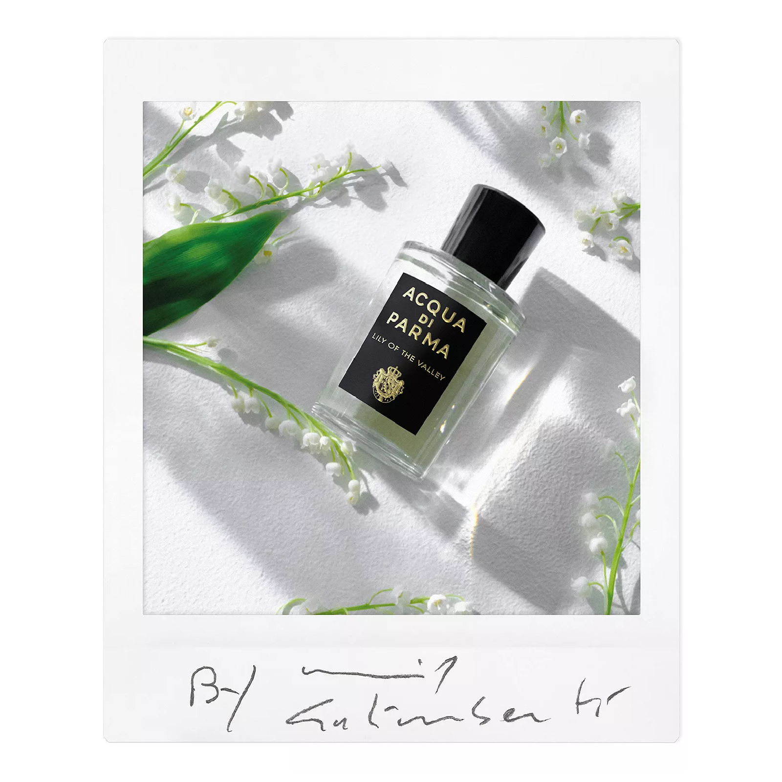 Acqua Di Parma Lily Of The Valley Eau de Parfum for Women