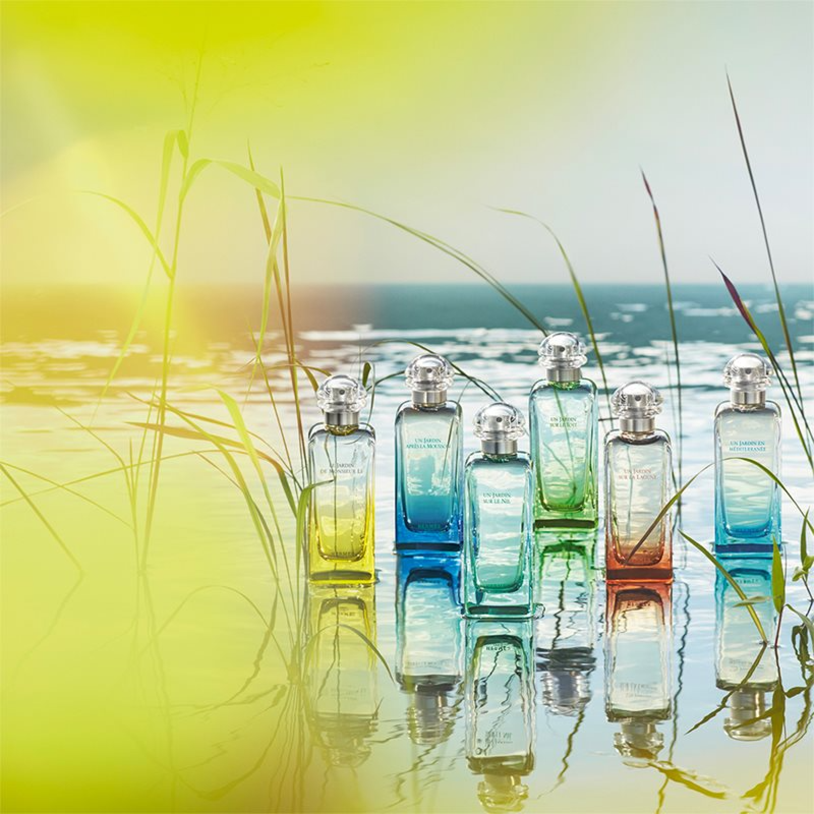 Hermes Un Jardin Mediterranee Eau de Toilette for Everyone