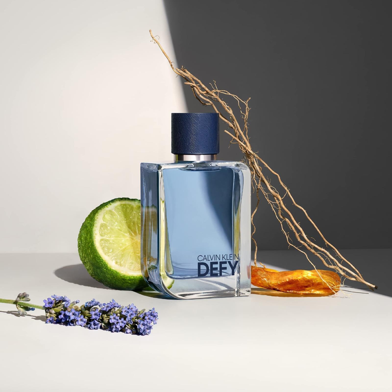 Calvin Klein Defy Eau de Toilette for Men