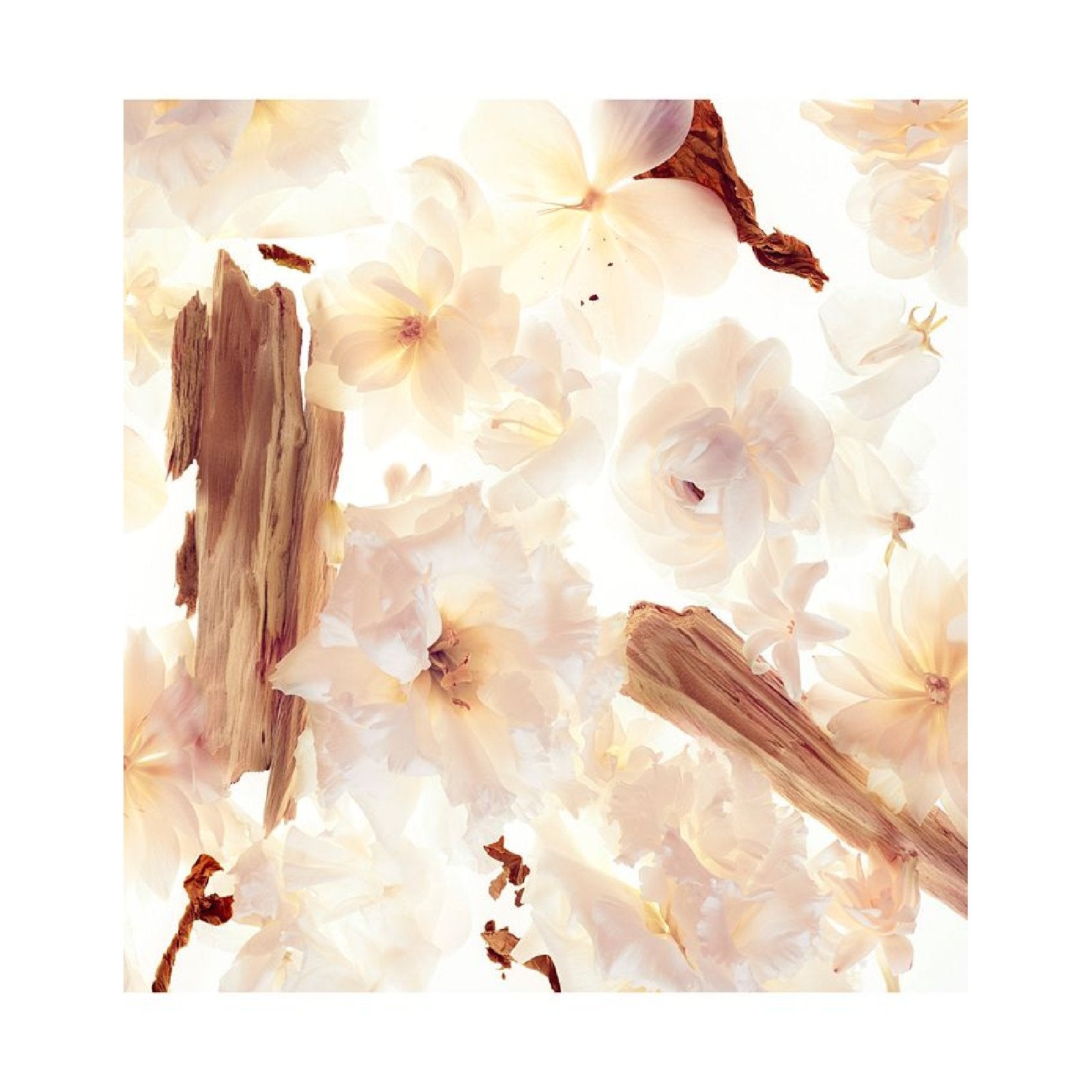 Michael Kors Gorgeous Eau de Parfum for Women