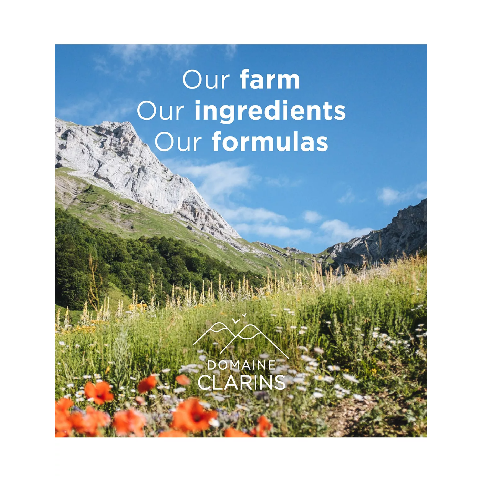 Clarins Hydrating Gentle Foaming for Women