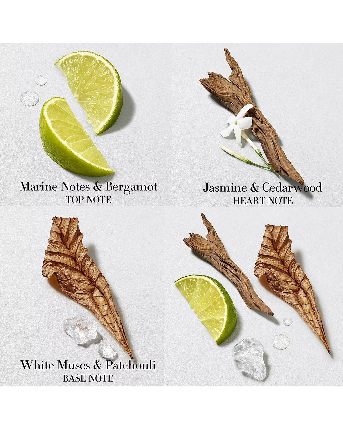 Giorgio Armani Acqua Di Gio Eau de Toilette for Men