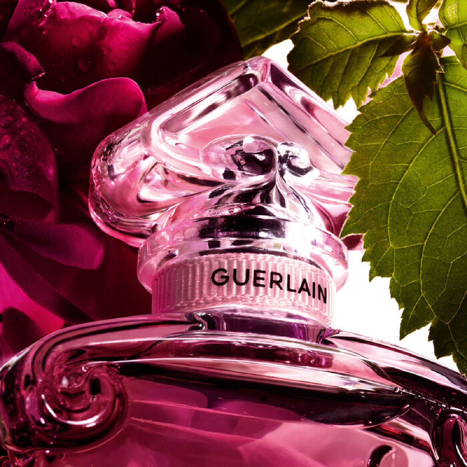 Guerlain La Petite Robe Noire Eau de Toilette for Women