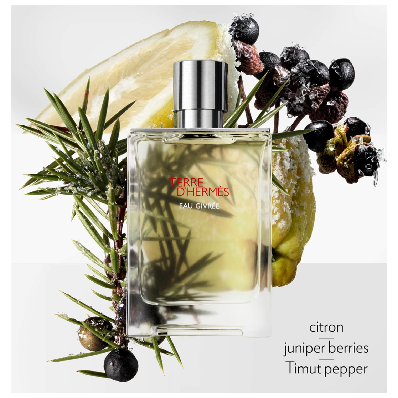 Hermes Terre d'Hermes Eau Givree Eau de Parfum for Men