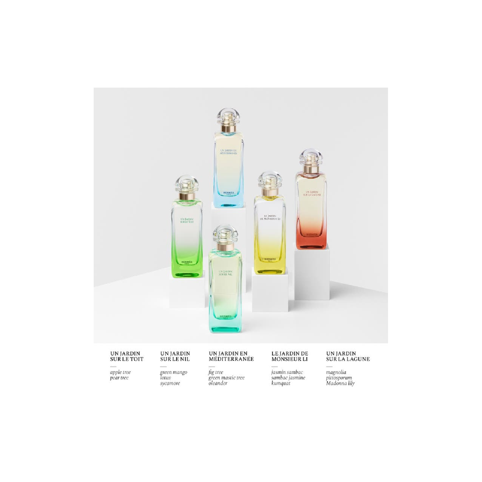 Hermes Un Jardin Mediterranee Eau de Toilette for Everyone