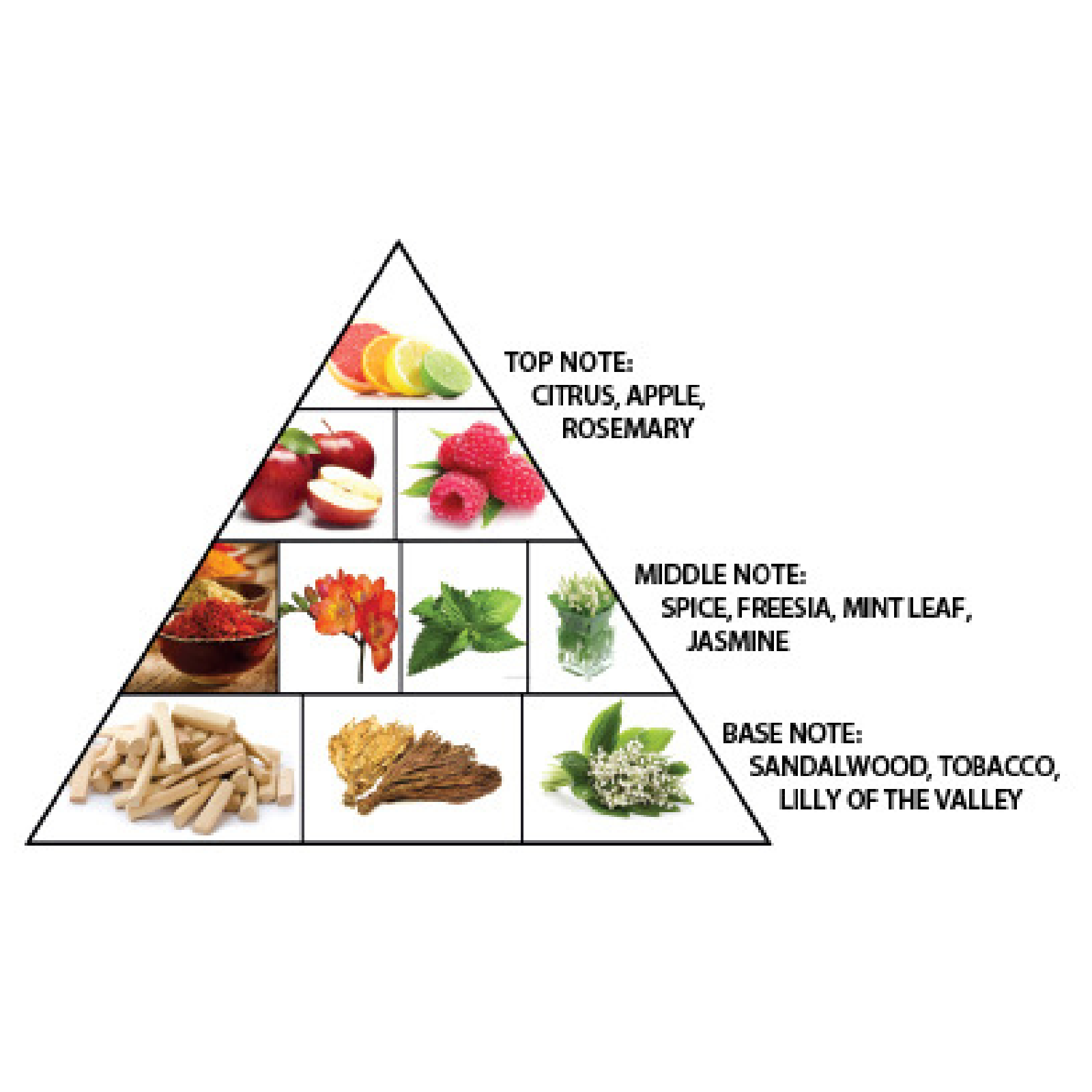 Al Haramain Sheikh Eau de Parfum for Everyone