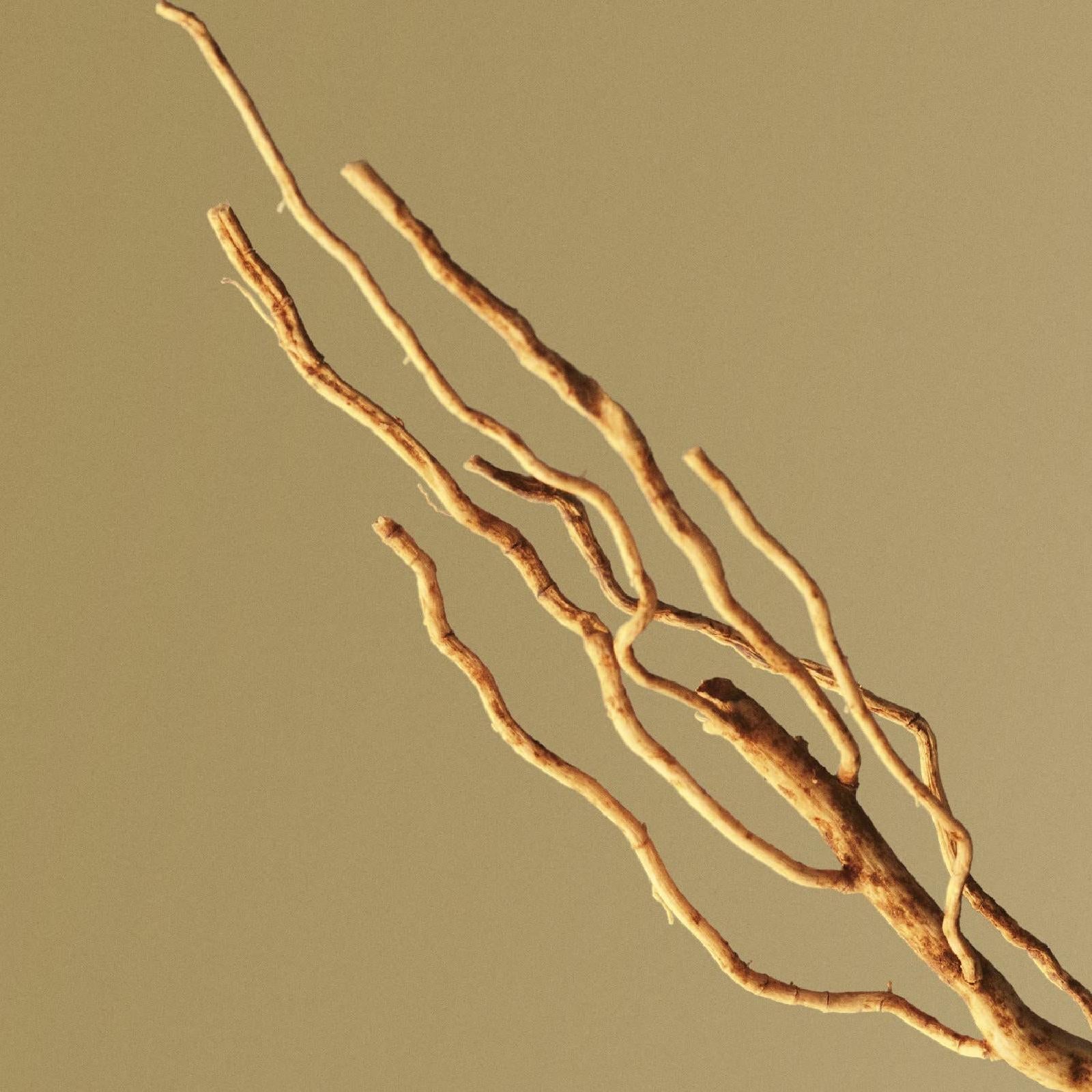 Hugo Boss Boss Bottled Eau de Parfum for Men