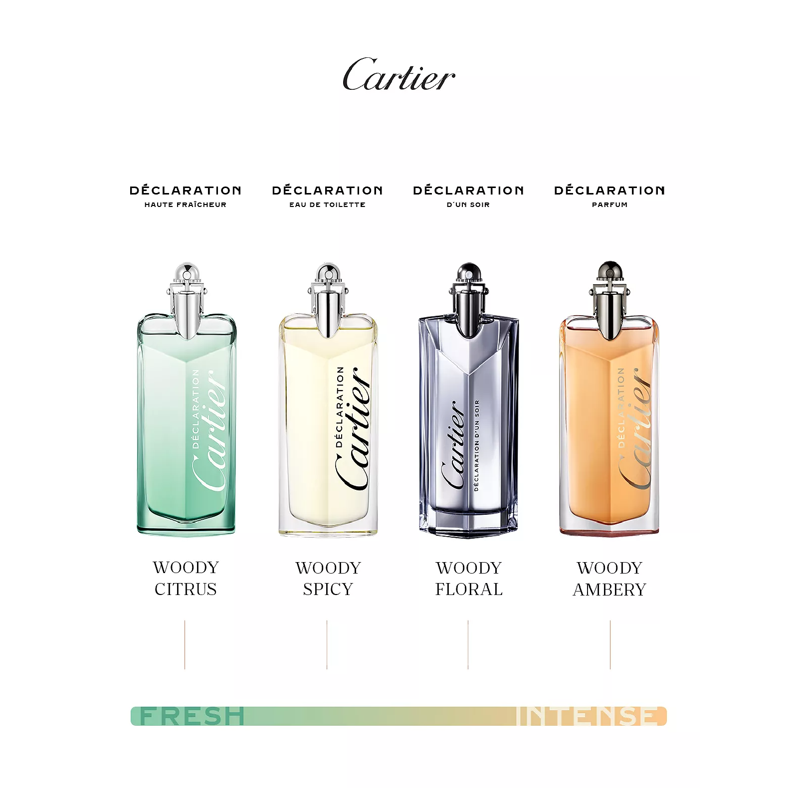 Cartier Declaration Parfum for Men
