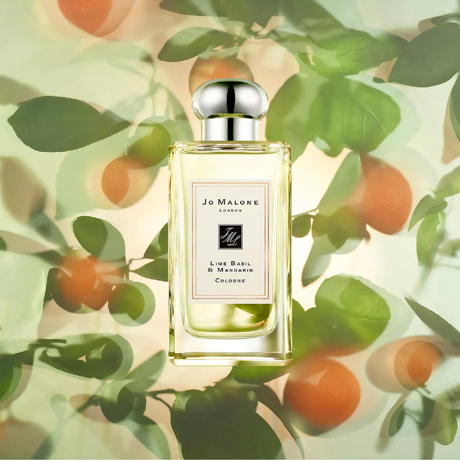 香水(ユニセックス) Jo Malone Lime Basil & Mandarin 100ml Amazon.com : Jo Malone Lime Basil Mandarin by Jo Malone for