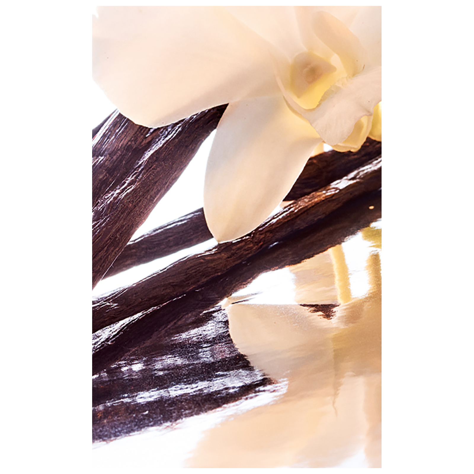 Guerlain Mon Eau de Parfum for Women