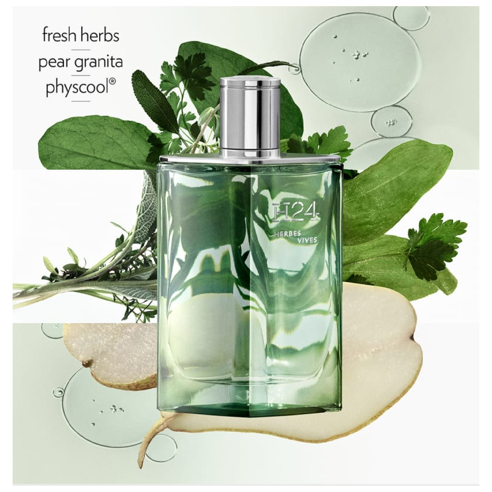 Hermes H24 Herbes Vives Eau de Parfum for Men