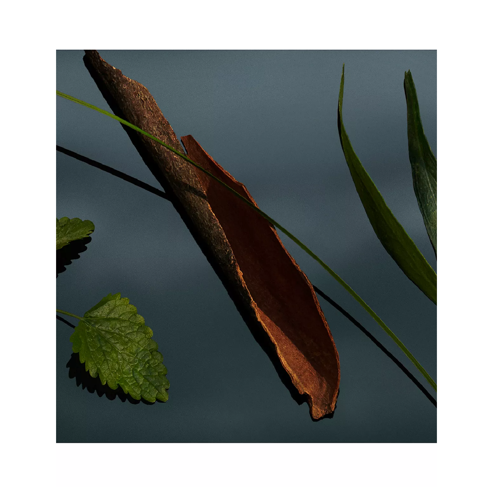 Burberry Mr. Burberry Eau de Parfum for Men