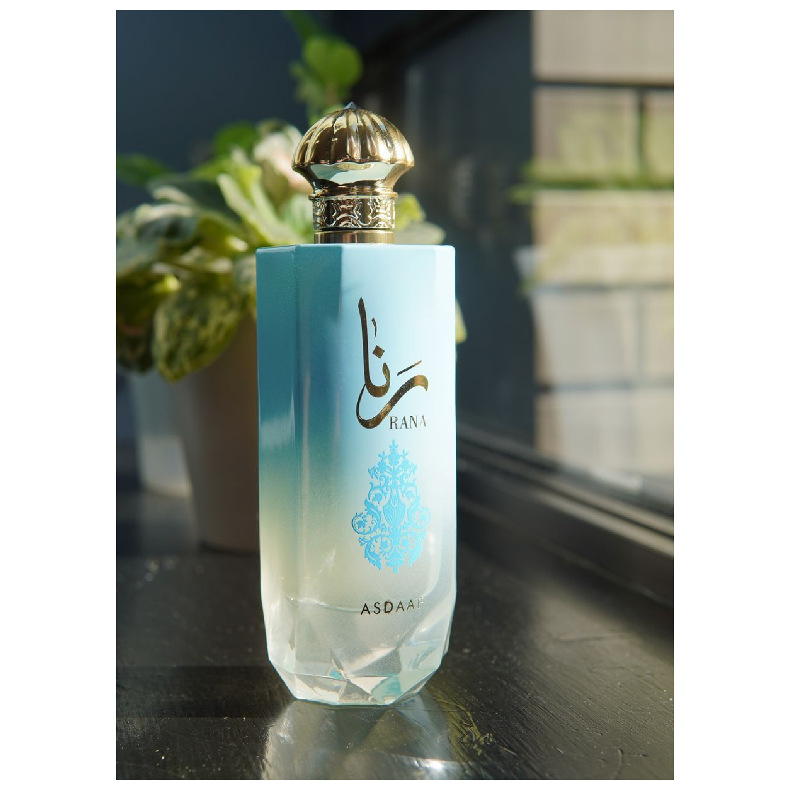 Asdaaf Rana Eau de Parfum for Everyone