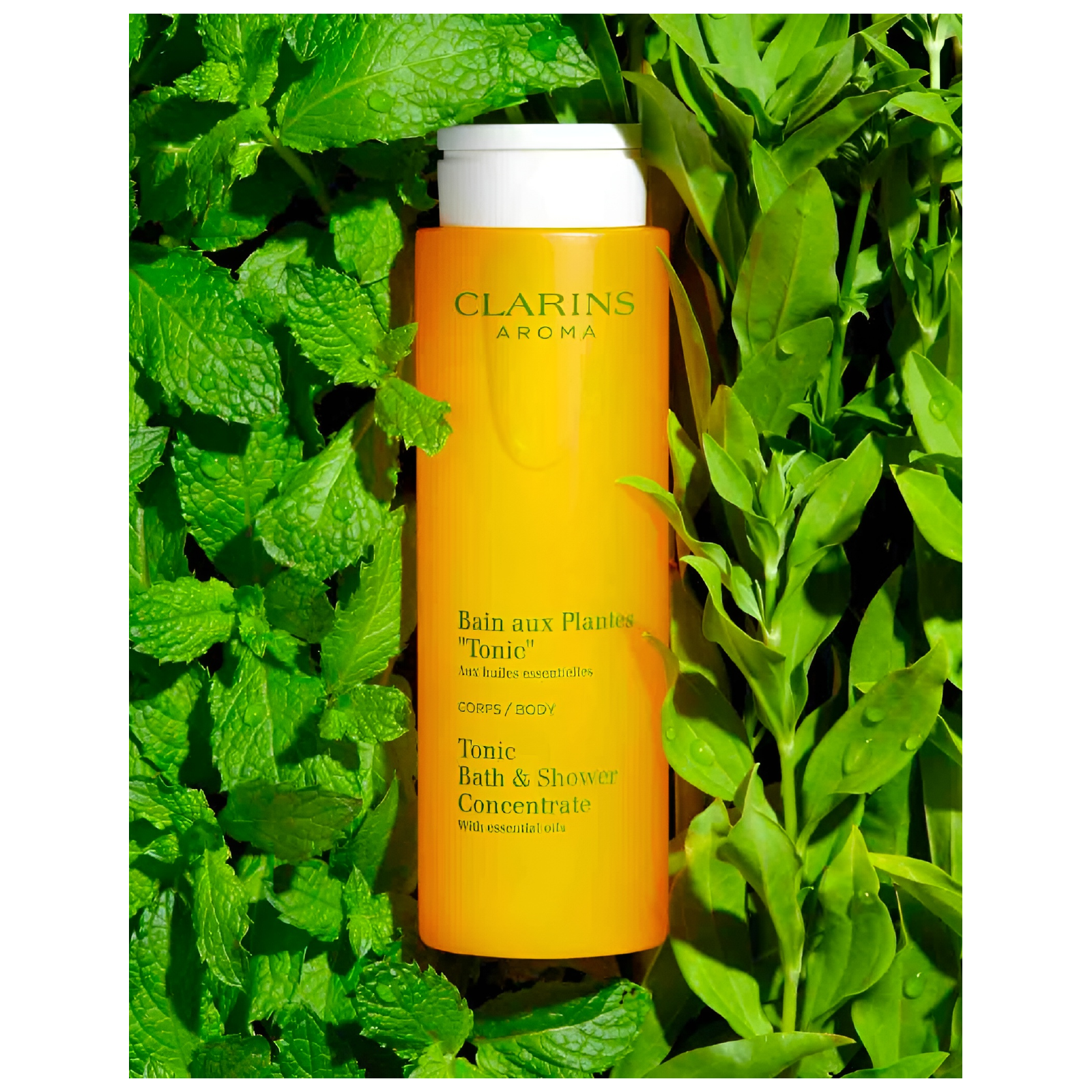 Clarins Tonic Bath and Shower Concentrate