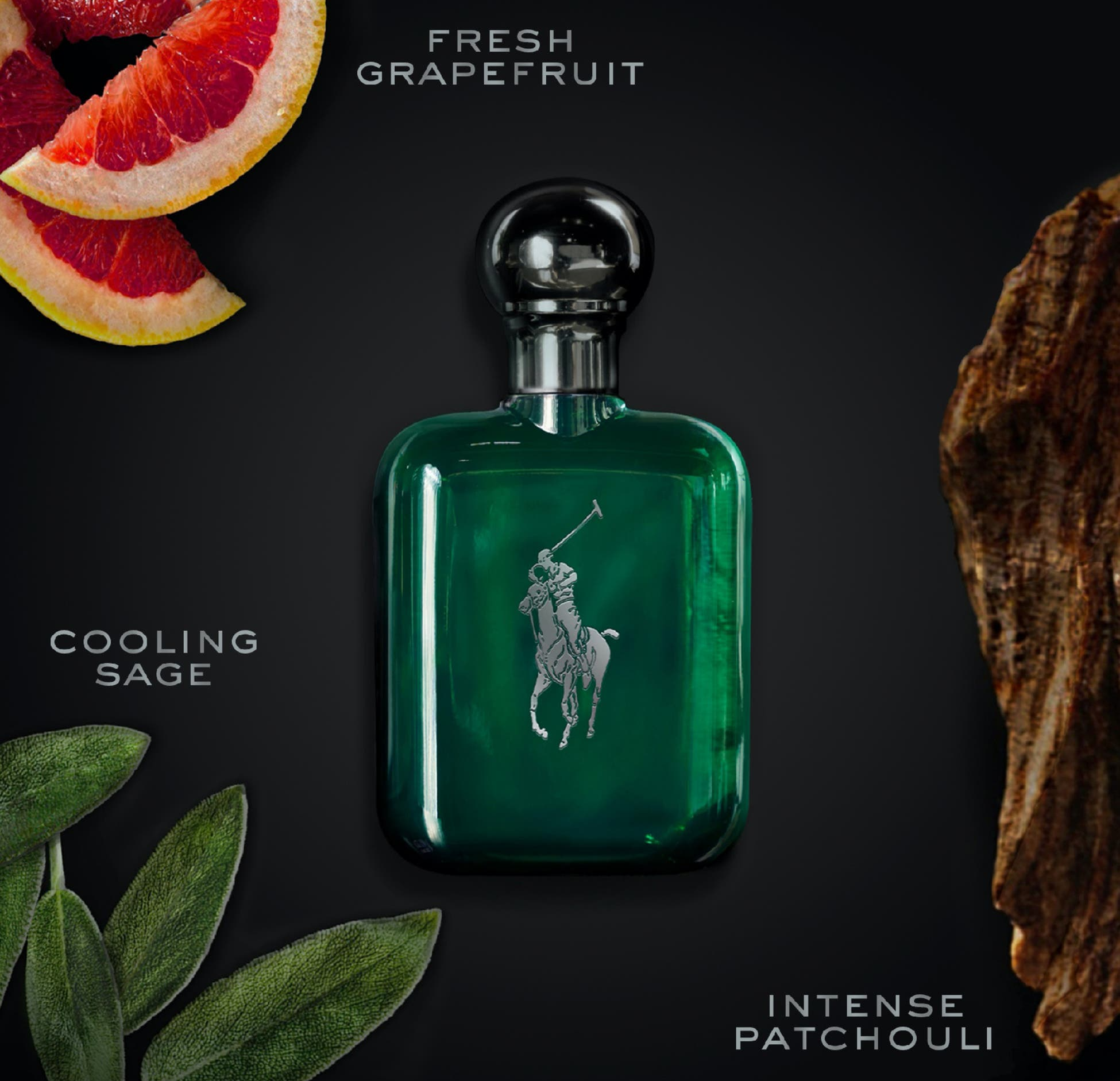 Ralph Lauren Polo Intense Cologne for Men