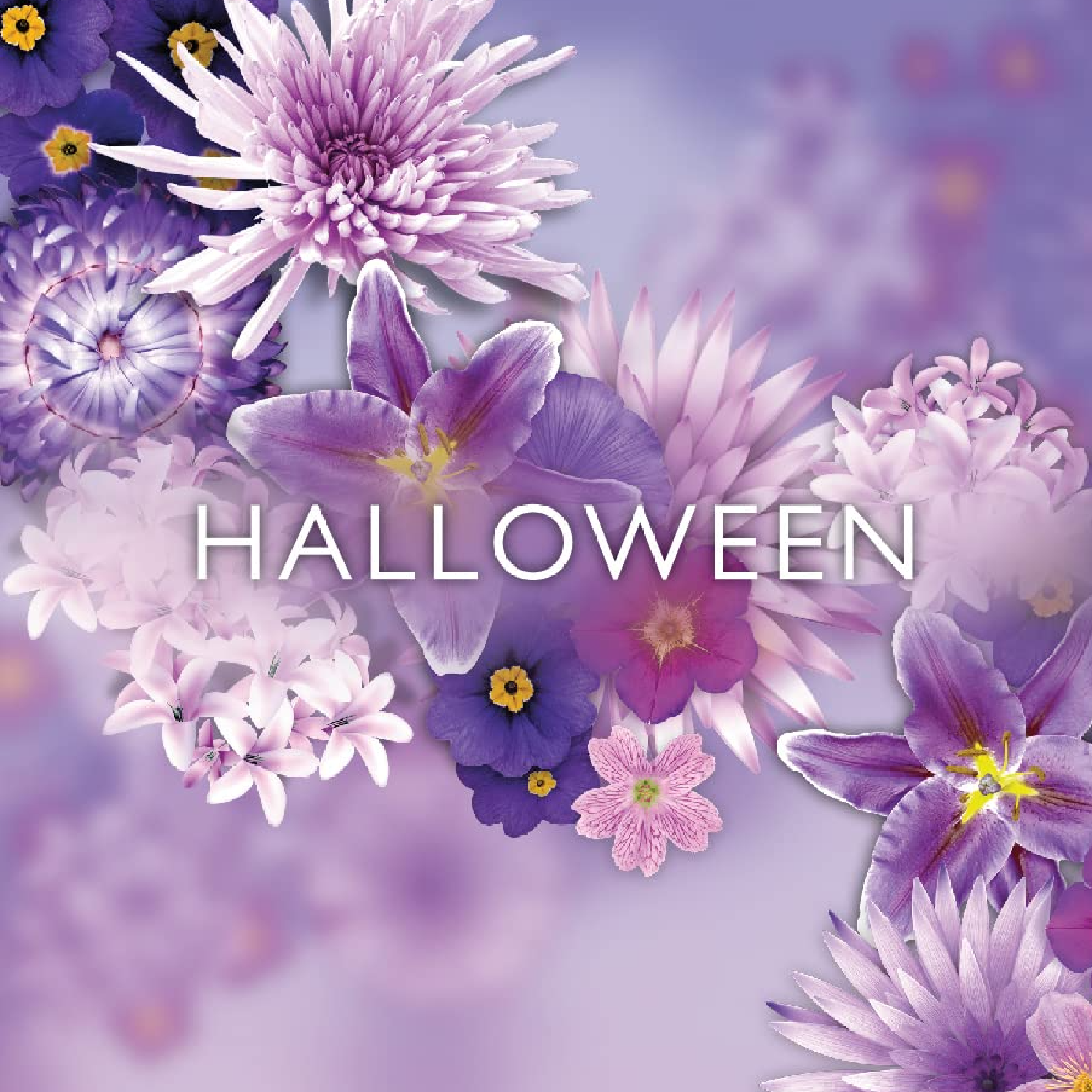 Jesus Del Pozo Halloween Eau de Toilette for Women