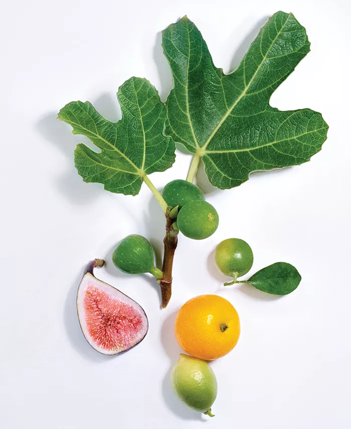 Lancome Maison Figues & Agrumes Eau de Parfum for Women