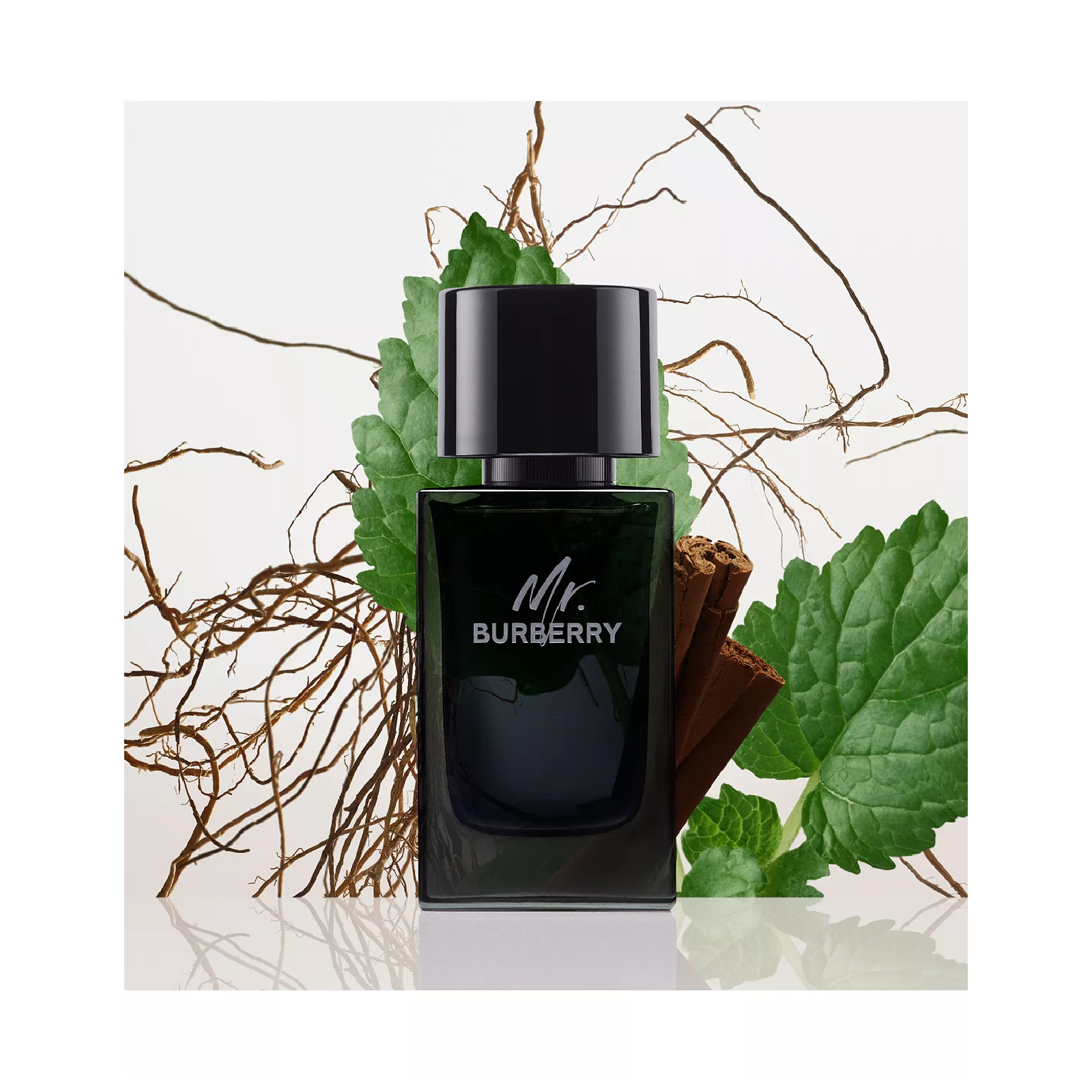 Burberry Mr. Burberry Eau de Parfum for Men