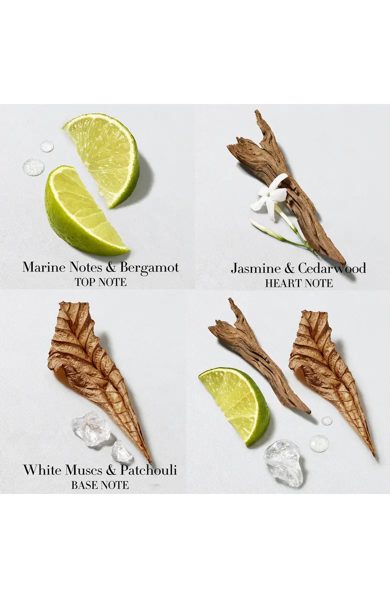 Giorgio Armani Acqua Di Gio Eau de Toilette for Men