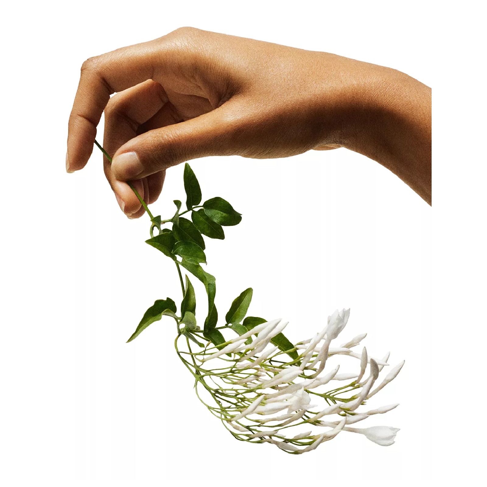 Tommy Hilfiger Tommy Girl Eau de Toilette for Women