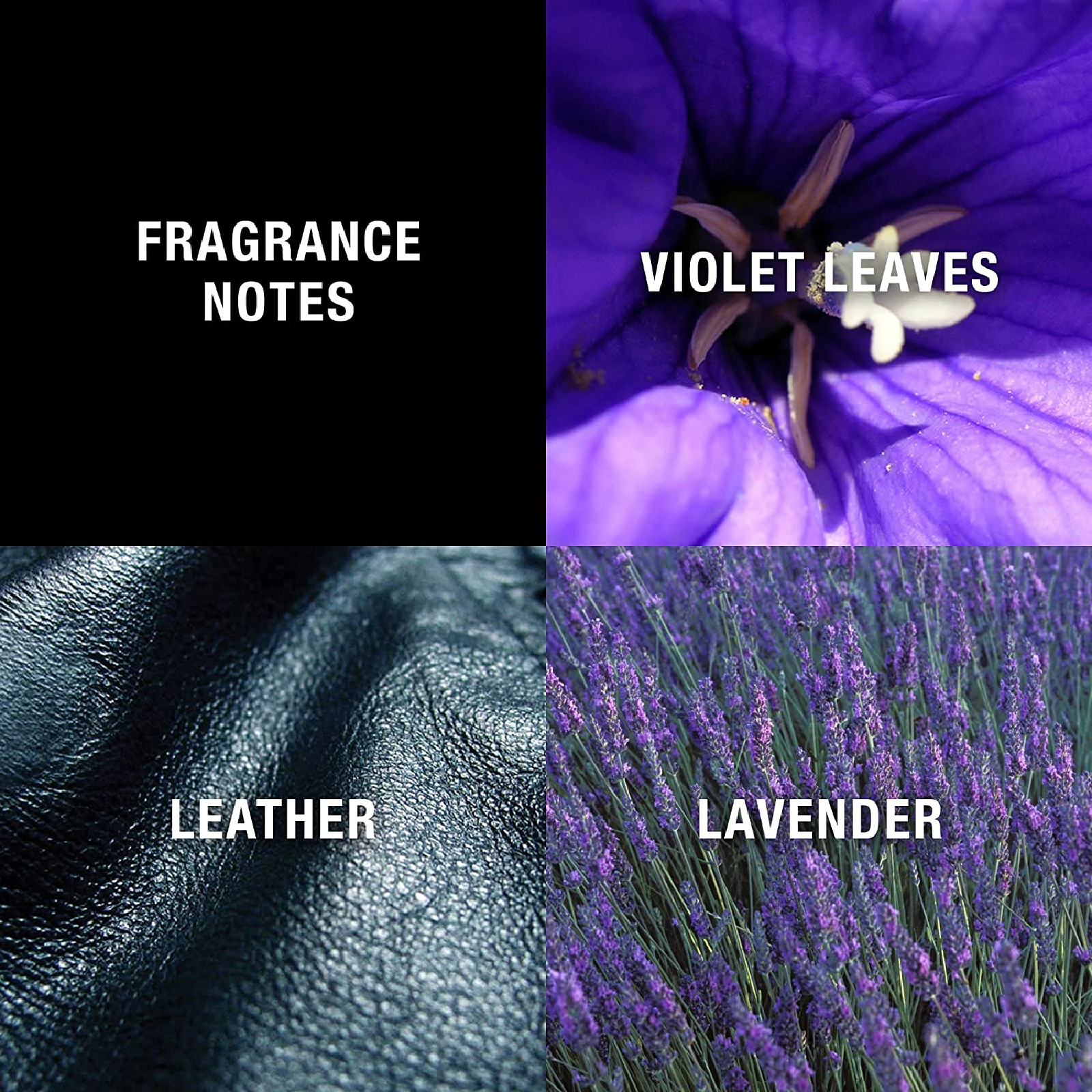 Liz Claiborne Curve Black Cologne for Men