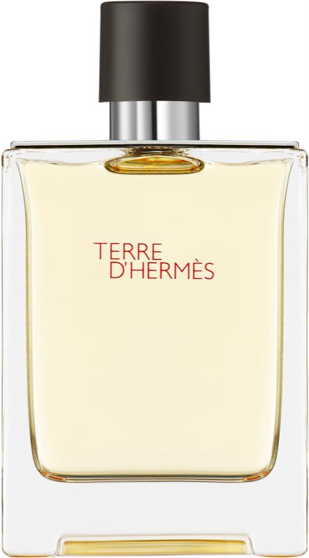 Hermes Terre D'hermes Eau de Toilette for Men