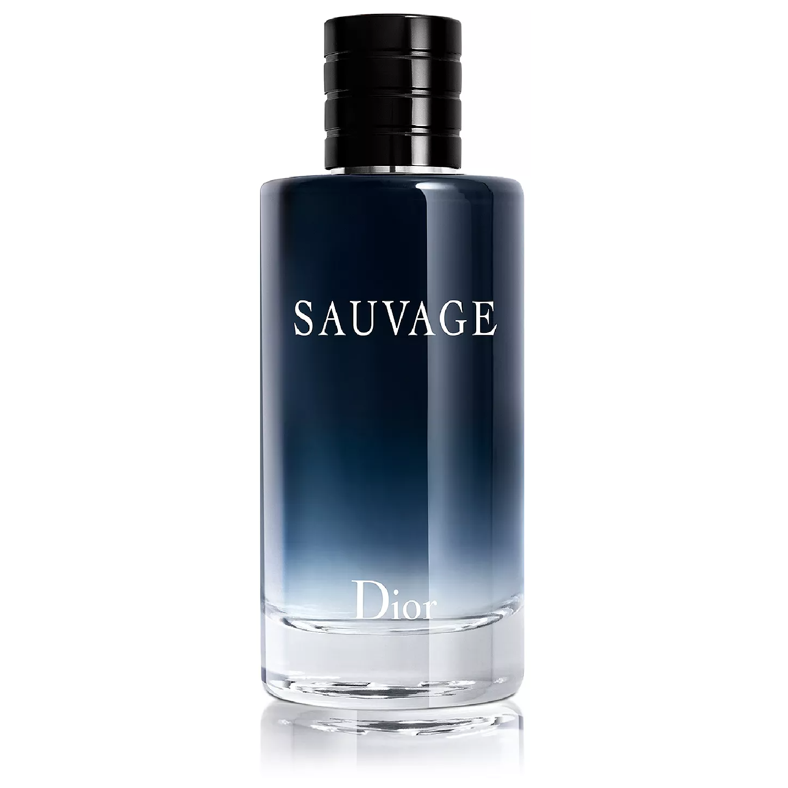 Dior Sauvage Eau de Toilette for Men