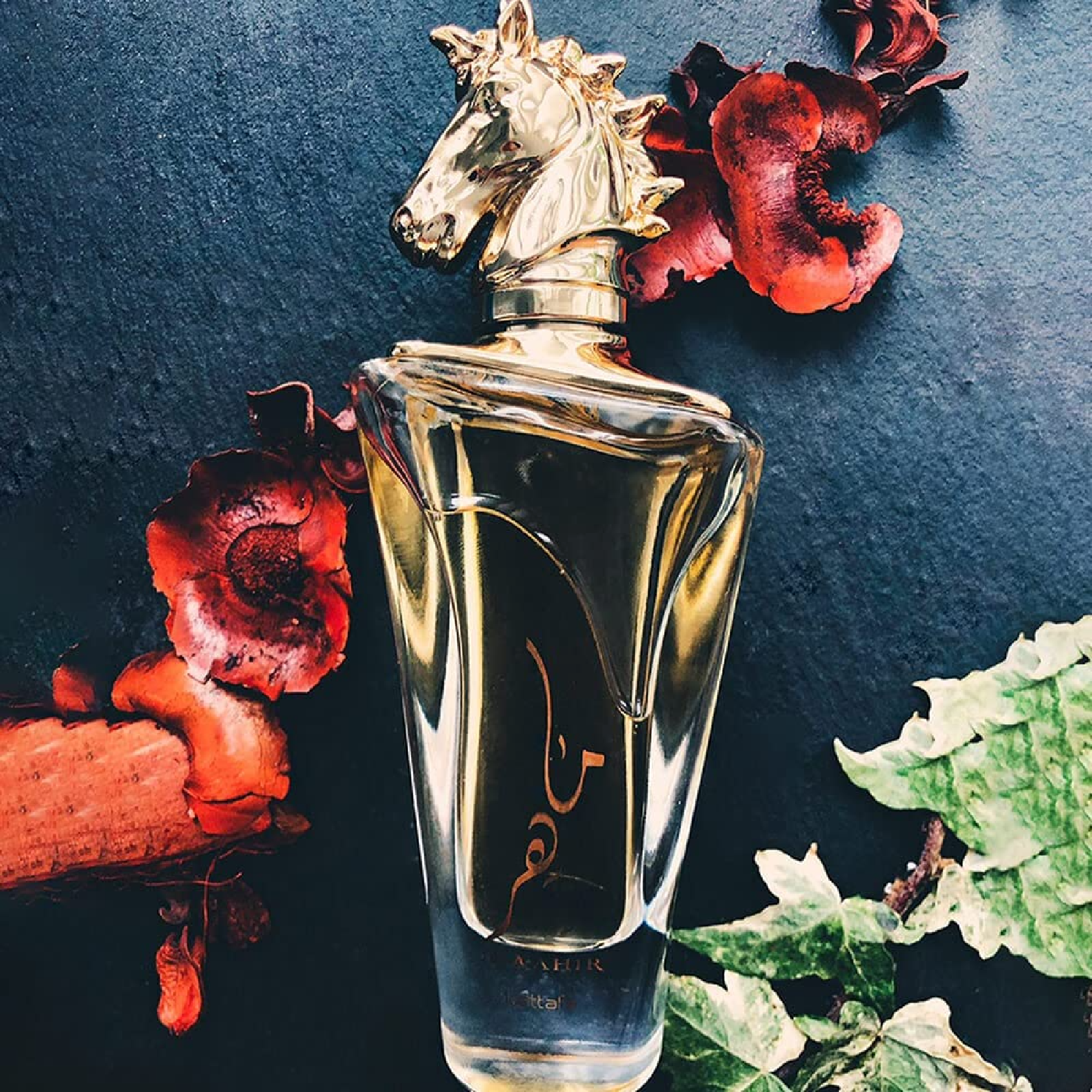 Lattafa Maahir Eau de Parfum for Everyone