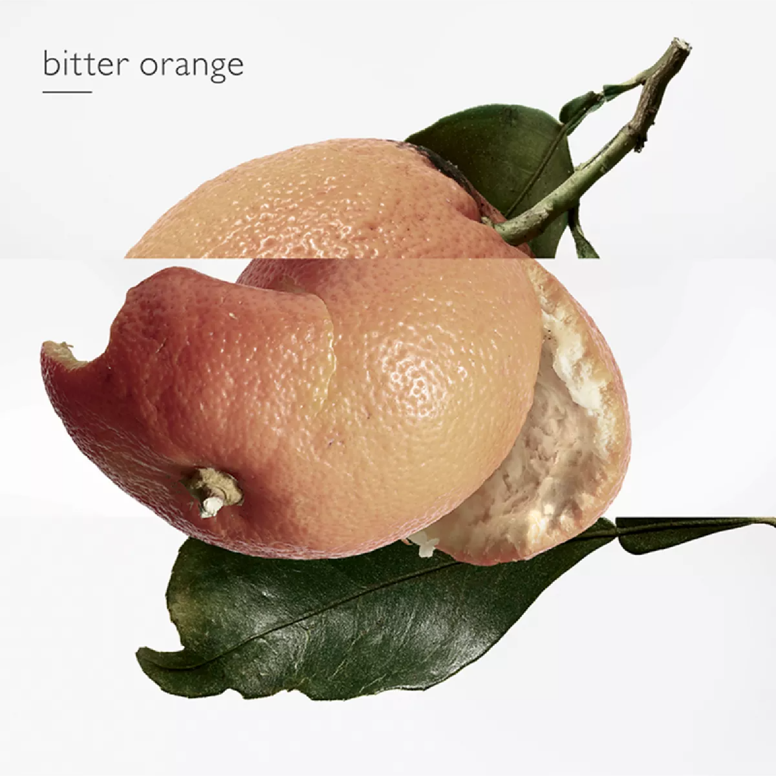 Hermes Eau De Merveilles Eau de Toilette for Women