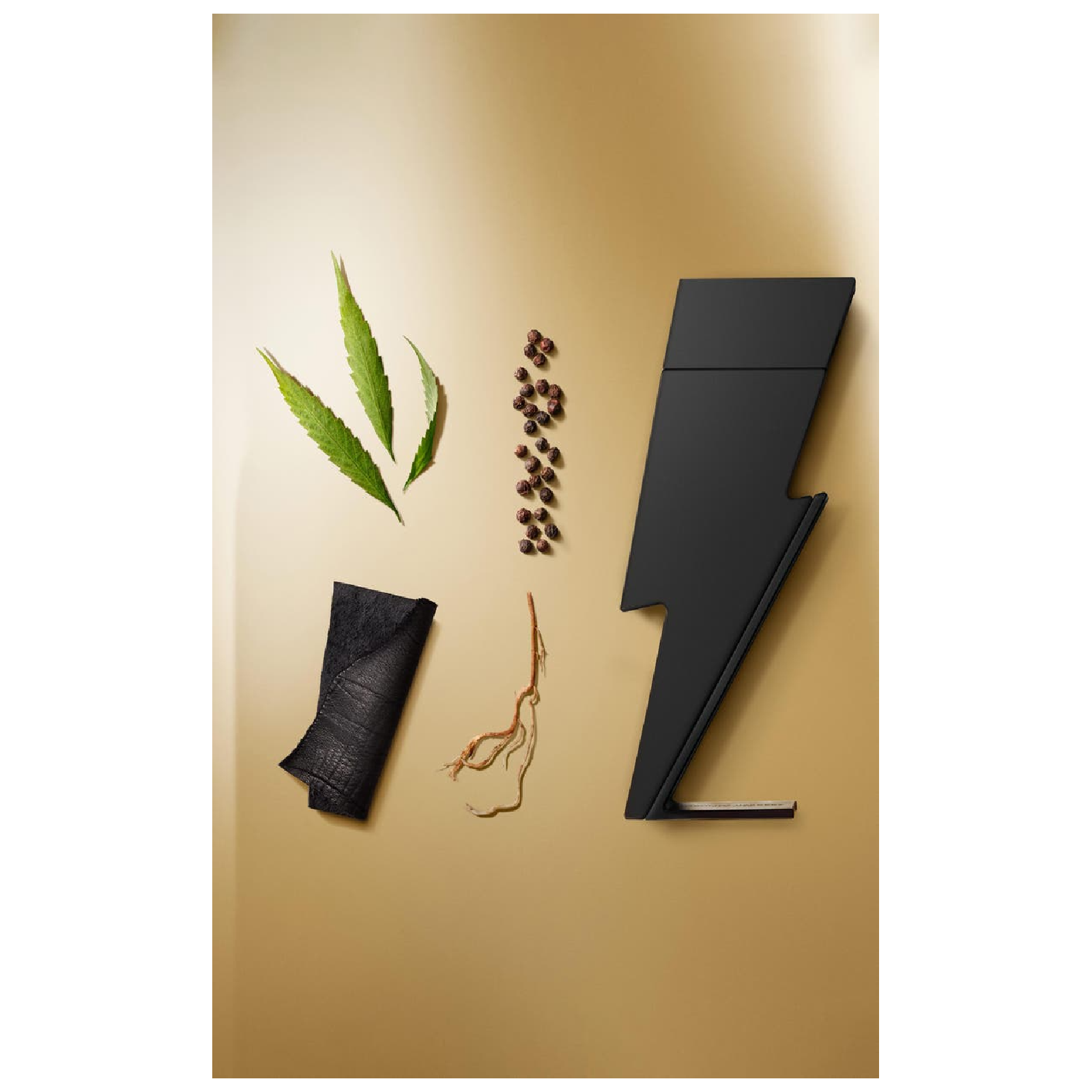 Carolina Herrera Bad Boy Le Parfum Eau de Parfum for Men