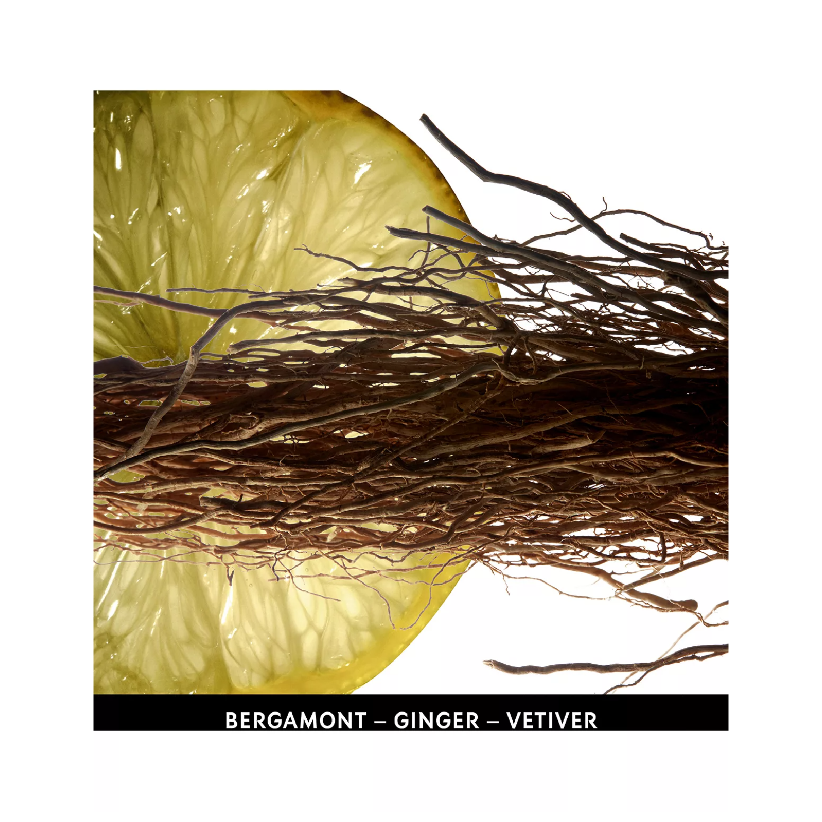 Yves Saint Laurent L'homme Eau de Toilette for Men