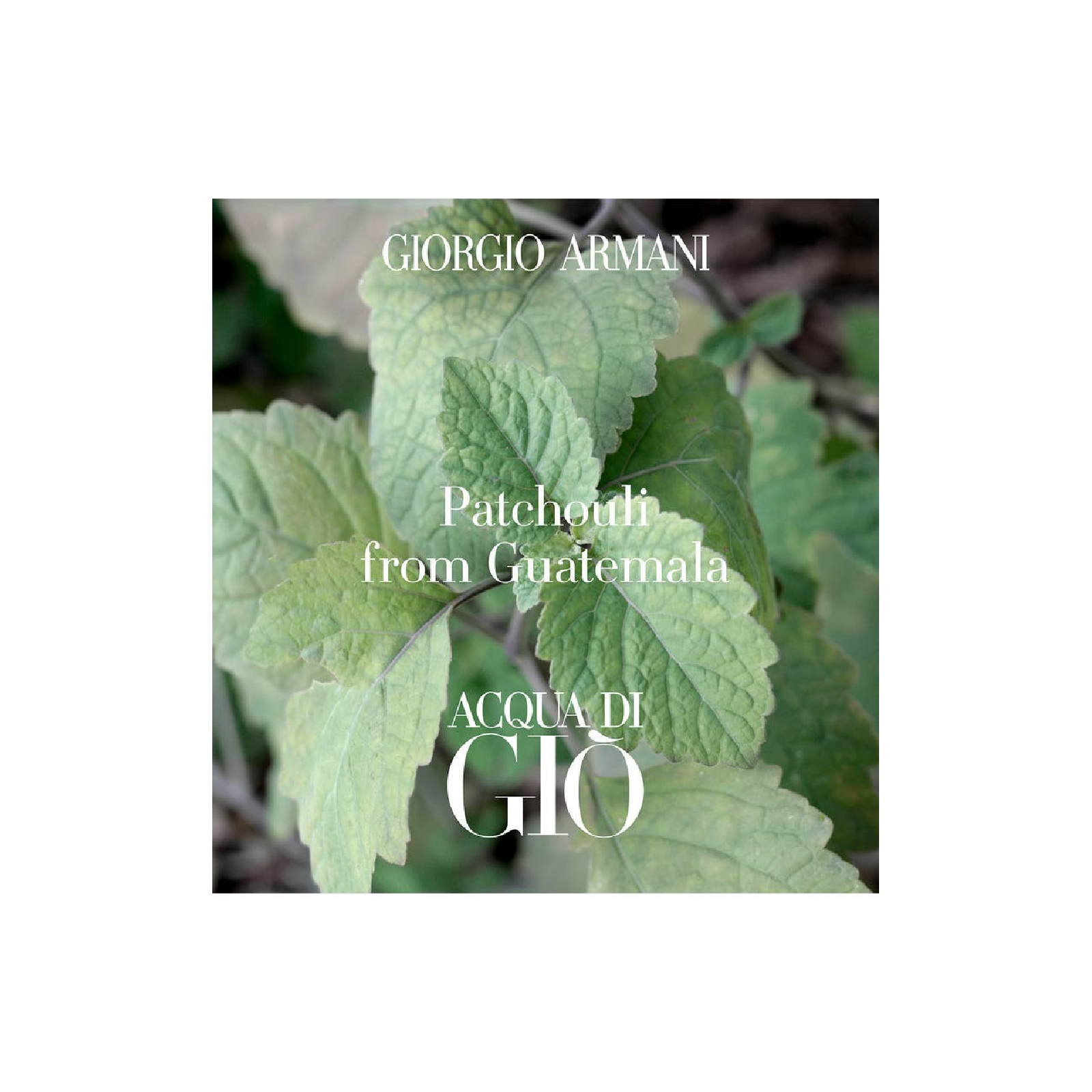 Giorgio Armani Acqua Di Gio Profondo Eau de Parfum for Men