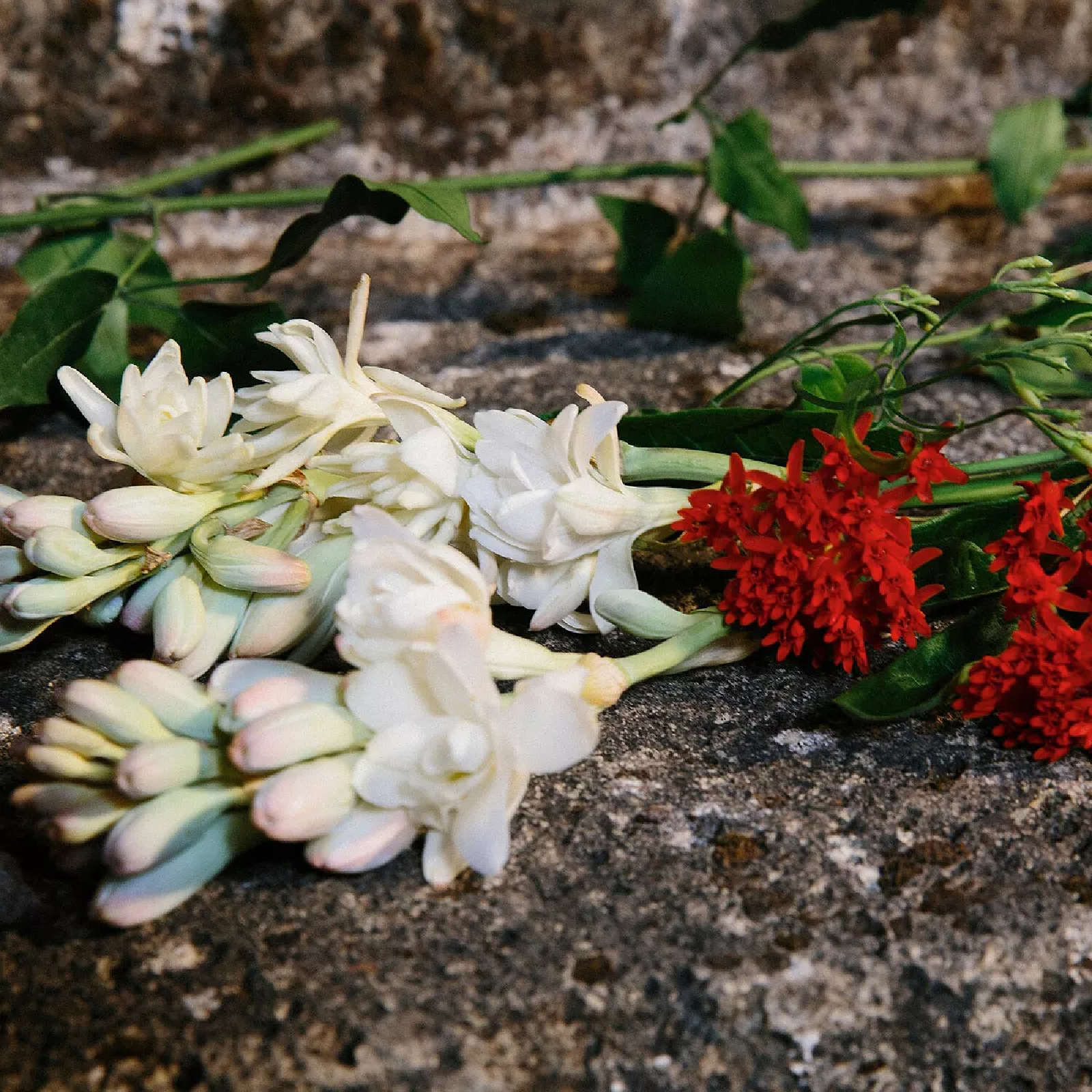 Gucci Bloom Eau de Parfum for Women