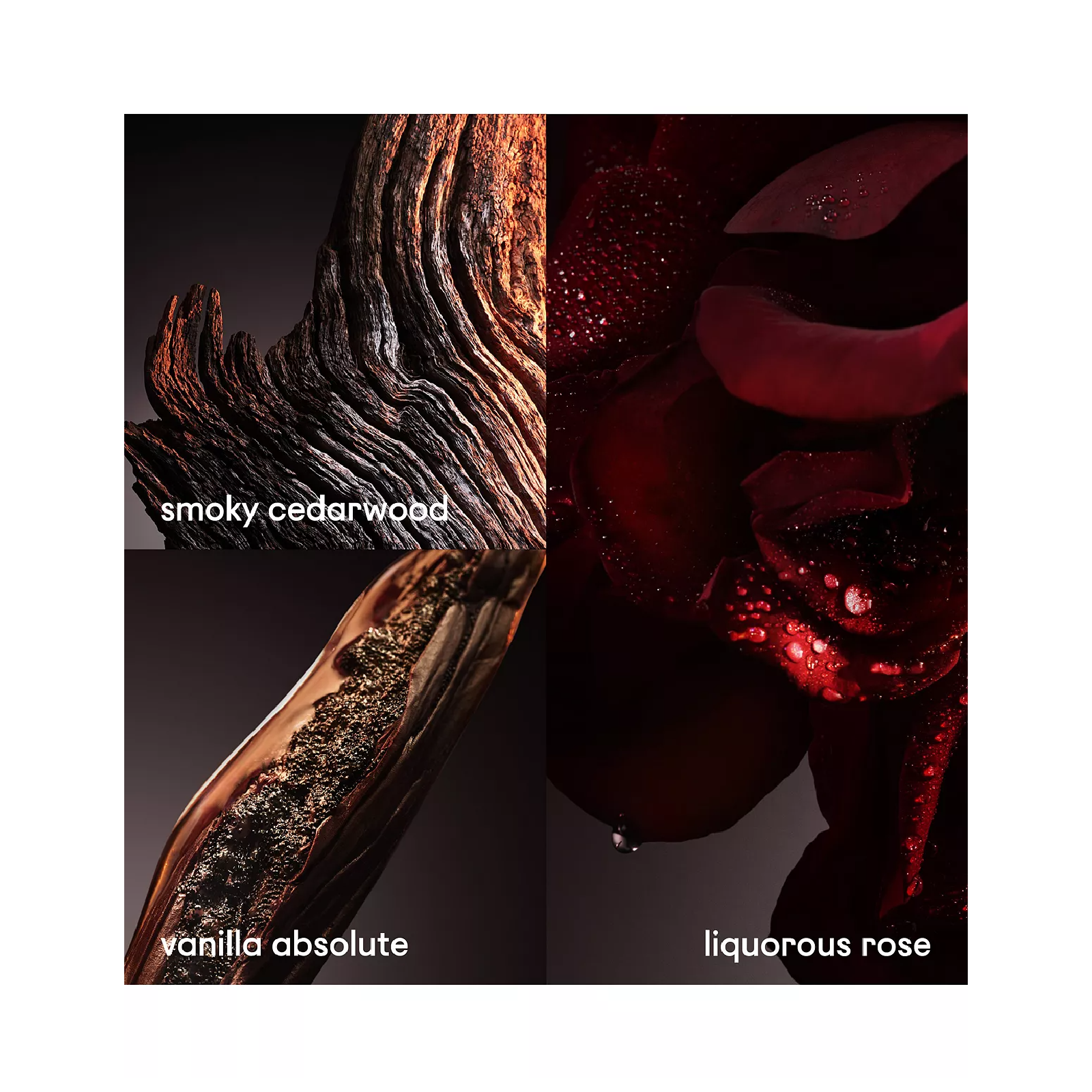 Paco Rabanne 1 Million Elixir Intense Parfum for Men