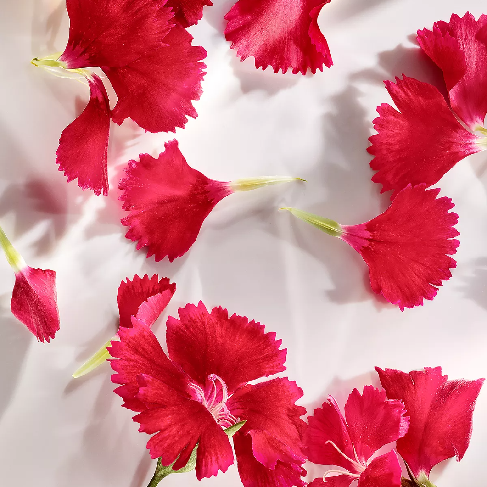 Michael Kors Wonderlust Eau de Parfum for Women