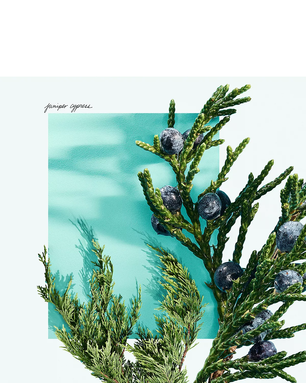 Tiffany Love Eau de Toilette for Men