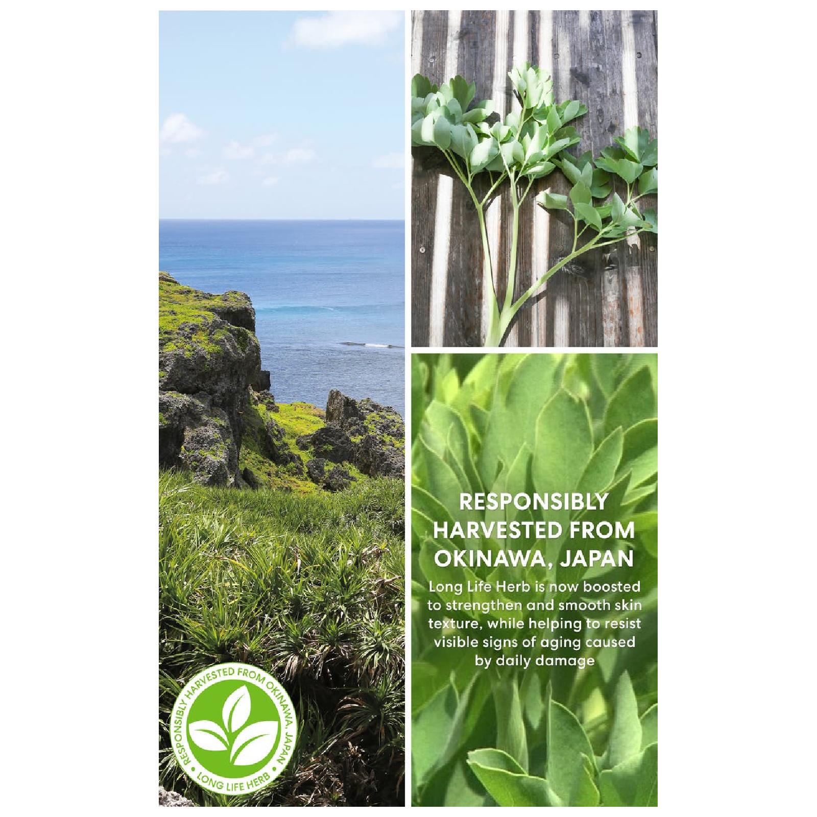 Bareminerals Skinlongevity Long Life Herb Serum