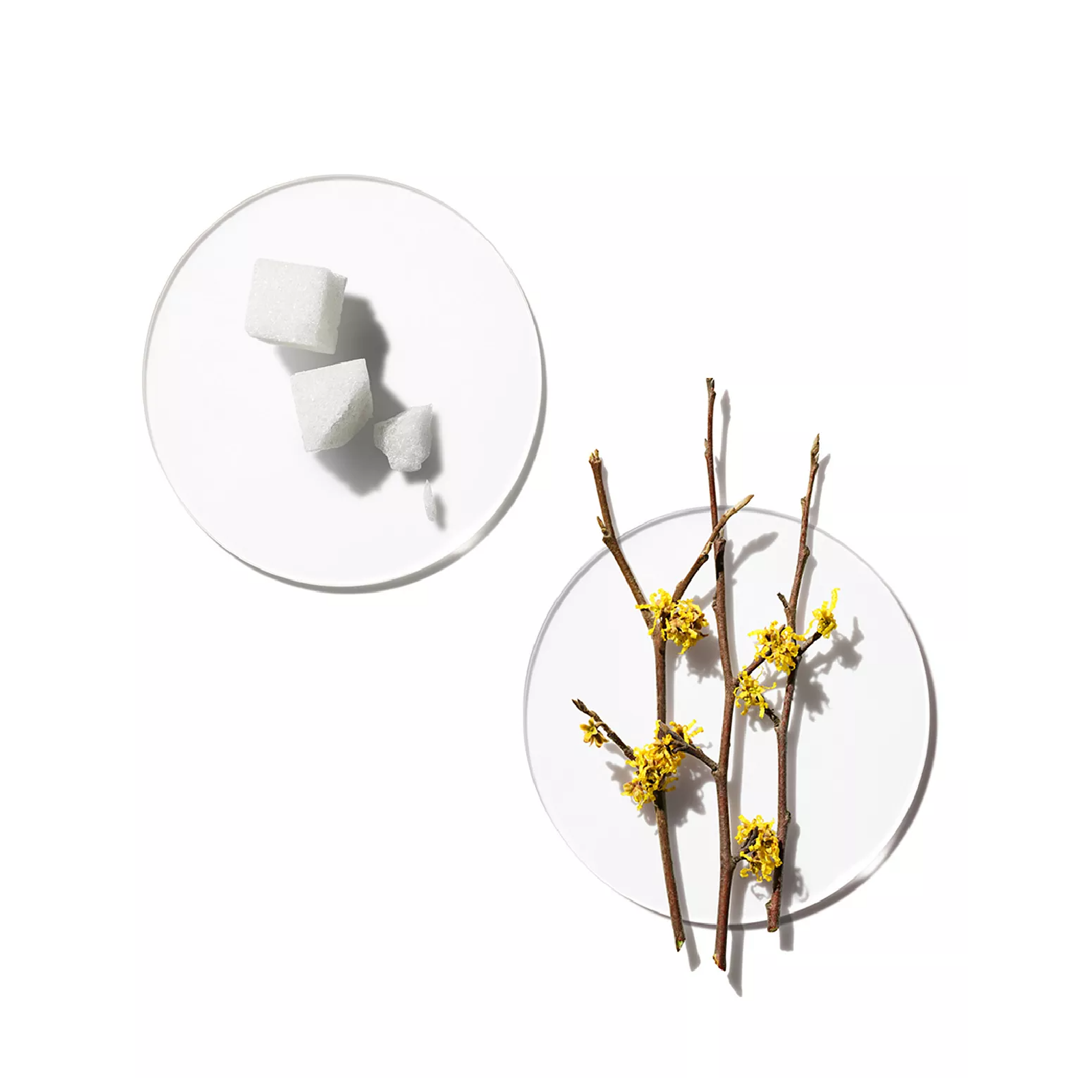 Clinique Clarifying Lotion 2 for Women